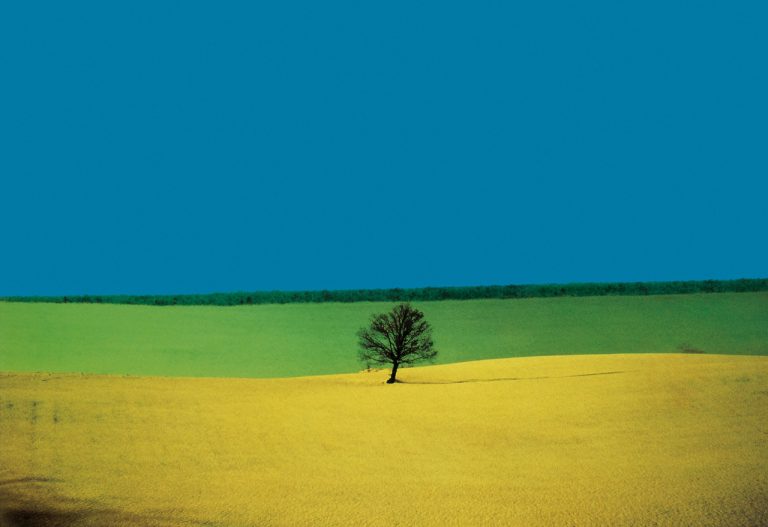 Franco Fontana Landscape, Puglia, 1987 Franco Fontana ©Puglia 1987, Courtesy Franco Fontana Studio