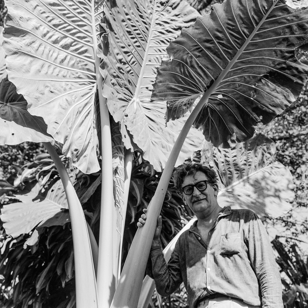 Robero Burle Marx. Fotografia: Marcel Gautherot (IMS)